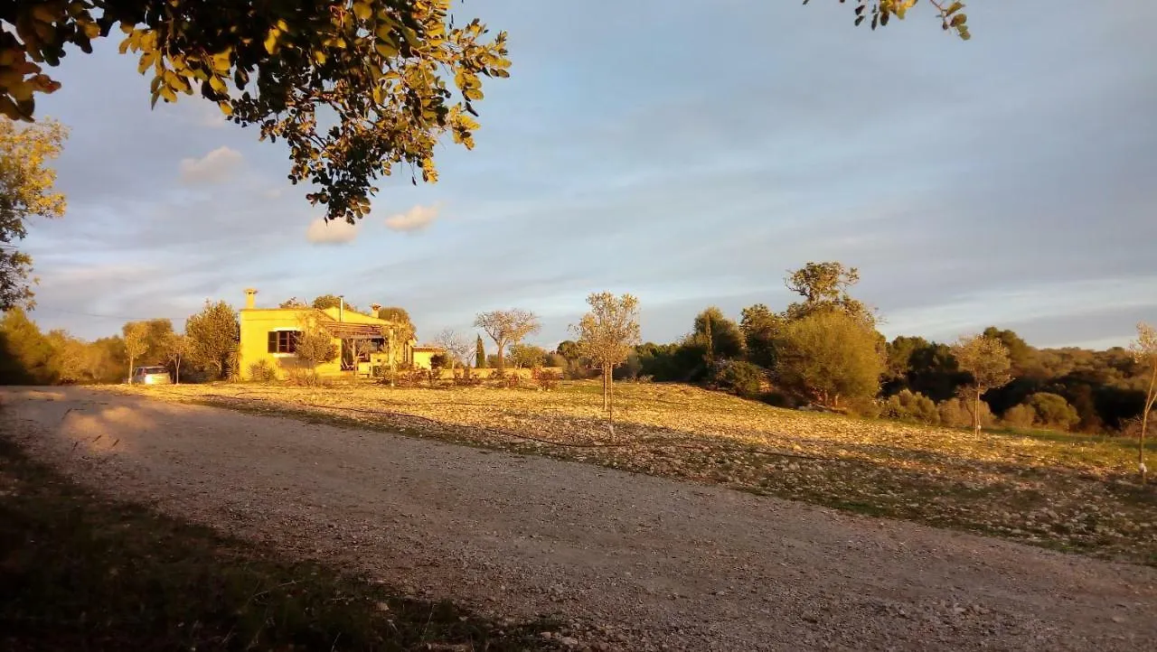 Sa Comella Porreres Spain