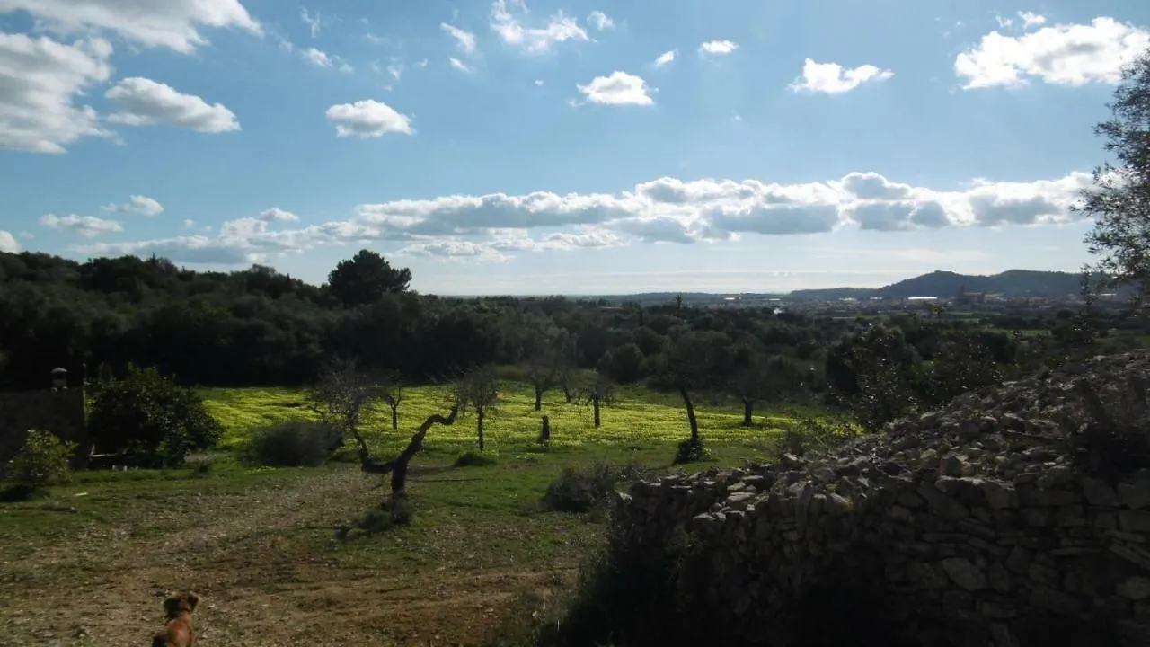 Sa Comella Porreres 0*,  Spain